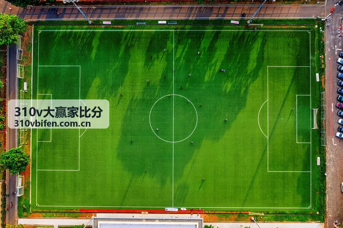 310v大赢家比分比分历史查询